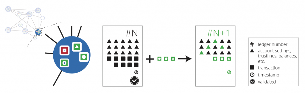 図7: ネットワーク・ノードはレジャー・バリデーションを計算する — 各トラッキングノードは、合意されたトランザクションを最後に検証されたレジャーに適用する。検証ノードは、それらの結果をネットワーク全体に送信する。